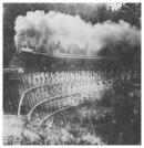 Steam Train crosses a trestle on Rex Hill, between Sherwood and Newberg. Circa 1889.