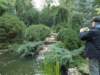 dscn1691_small.jpg